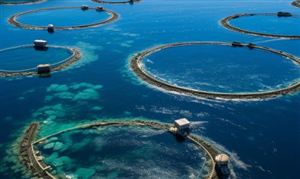 电气设备行业市场空间大 2024年中国电气设备行业发展趋势(图5) 电气设备行业市场空间大 2024年中国电气设备行业发展趋势(图5)
