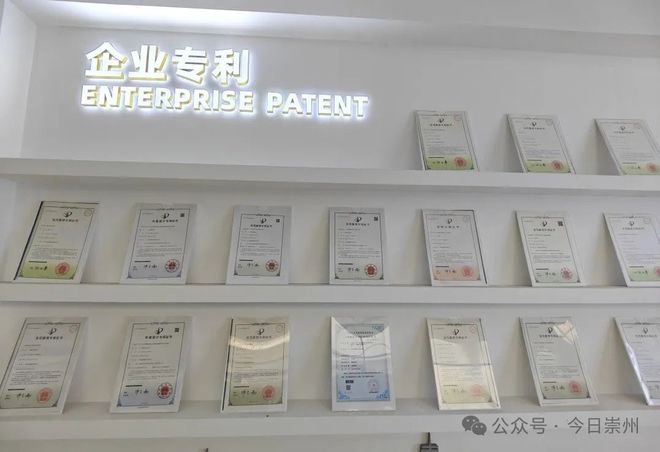 借力“一带一路”“崇州造”智能设备海外拓市场(图4)