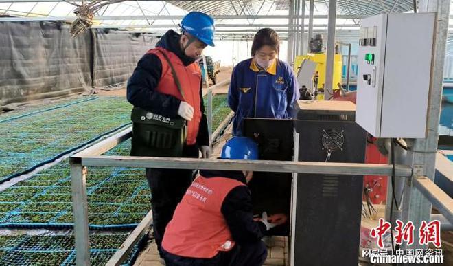 山西忻州:电力赋能大棚种植更“智慧”(图2) 山西忻州:电力赋能大棚种植更“智慧”(图2)