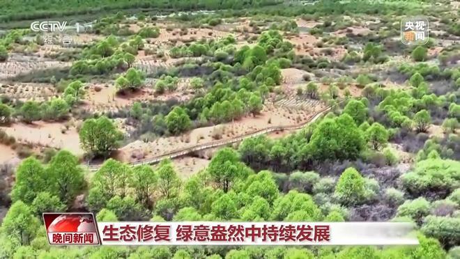 多维度 很亮眼!我国绿色发展交答卷(图8) 多维度 很亮眼!我国绿色发展交答卷(图8)